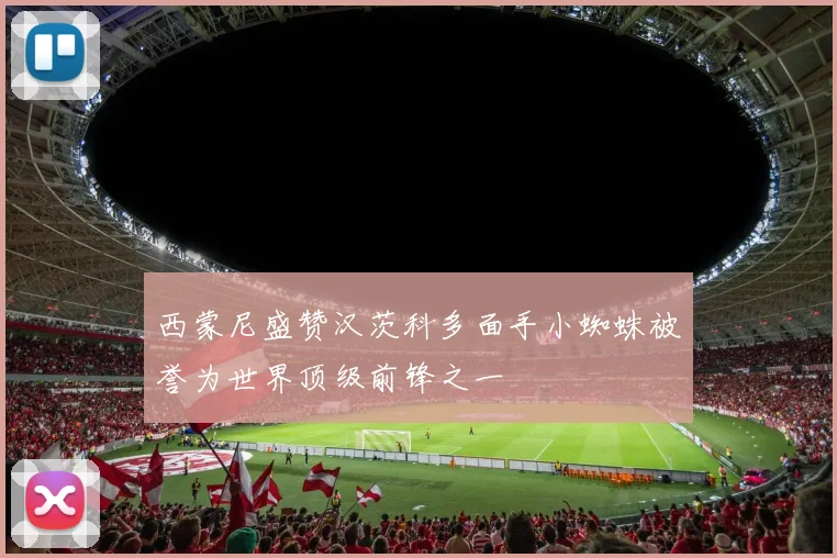 西蒙尼盛赞汉茨科多面手小蜘蛛被誉为世界顶级前锋之一