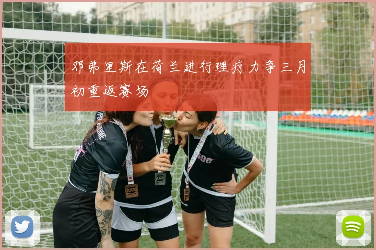 邓弗里斯在荷兰进行理疗力争三月初重返赛场